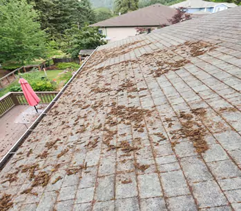 Gutter Cleaning