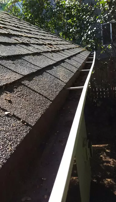 Gutter Cleaning