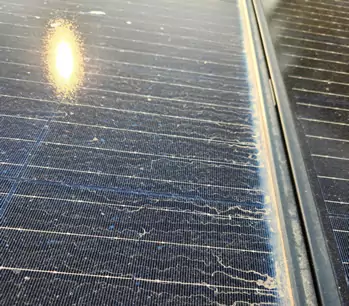 Solar Panel Cleaning